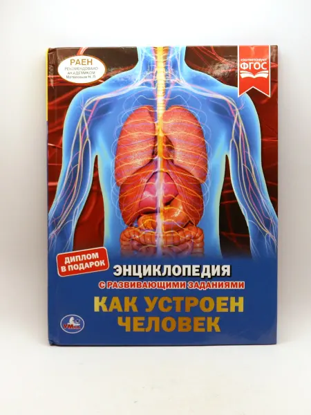 1000 Каталог Книга детская "Как устроен человек"