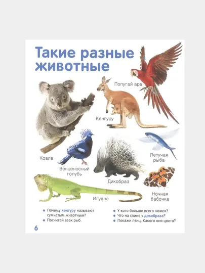 Животные, твоя первая фотокнига