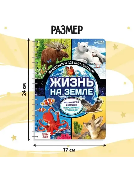 Обзор книги с прозрачными страницами о животных