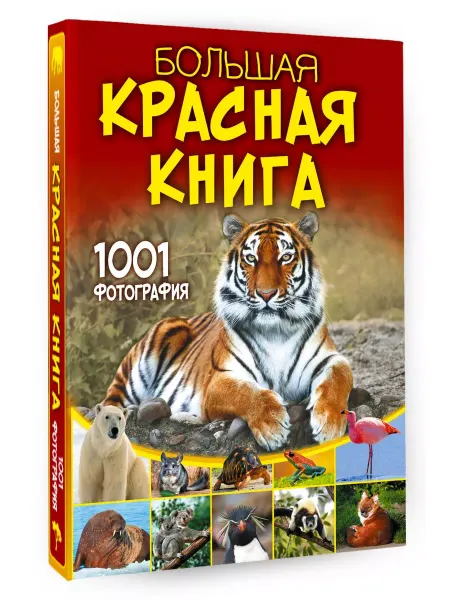 Издательство АСТ Большая красная книга. 1001 фотография. Подарочный набор
