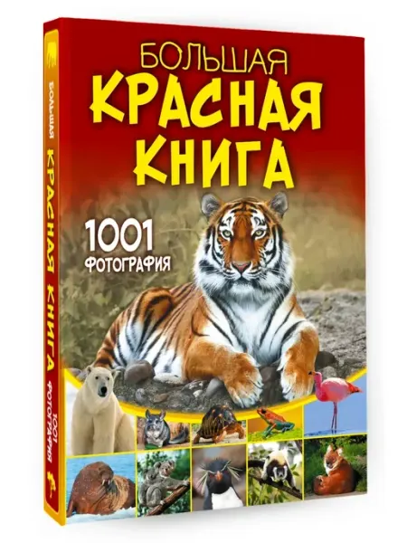 Издательство АСТ Большая красная книга. 1001 фотография