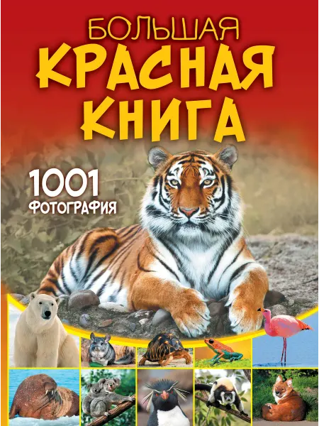 24 Наш Книжный Дом Большая красная книга. 1001 фотография