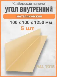 Угол внутренний 100х100/ 1250 мм/ цинк / 5 ШТ