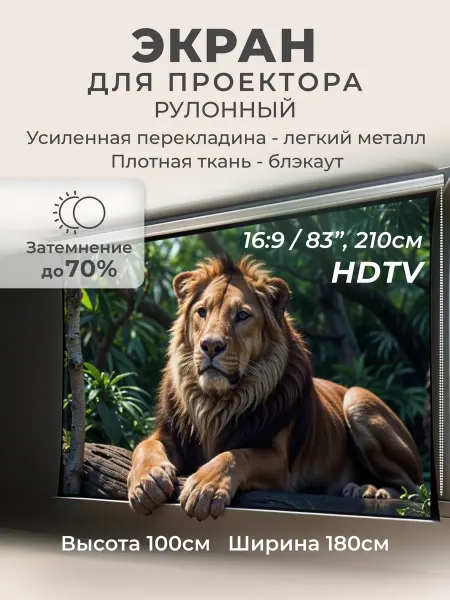 Gozhy Экран для проектора рулонный блэкаут 100х180см