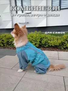 Комбинезон для собак средних пород(самка) LATZAR 1002 р-р 34 бирюза/серый