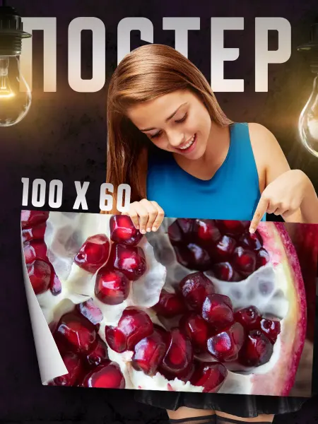 Print Master Постер на стену Гранат 100х60 см