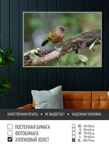 ПолиЦентр Постер на холсте Маленькая птичка на ветке, 100х70 см