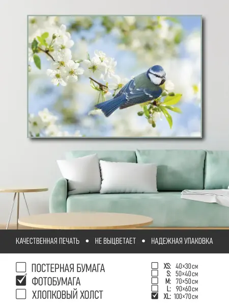 ПолиЦентр Постер на фотобумаге Птичка на цветущей ветке, 100х70 см