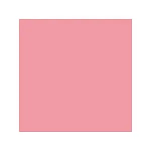 Фон пластиковый FST 100x200 см розовый матовый