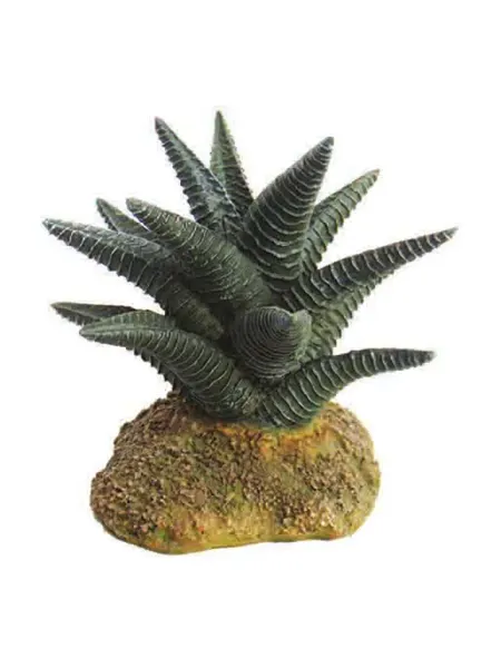 GLOXY Растение пластиковое Хавортия, 10х10х10 см