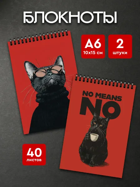 Блокноты А6 (10х15 см) Котики, 2 штуки