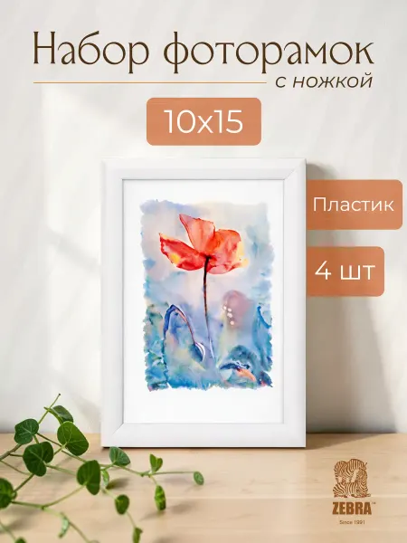 Zebra. Фоторамка 10х15 А6 пластиковая, белая, 4 шт