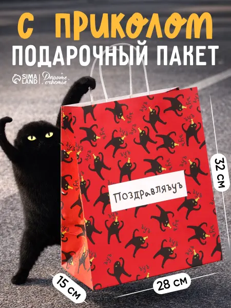 Сима-Ленд & Дарите Счастье Большой подарочный пакет с приколом для упаковки подарка