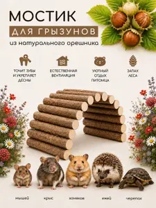 Домик для грызунов, хомяков, крыс, ежей, черепах, мышей 10х20см