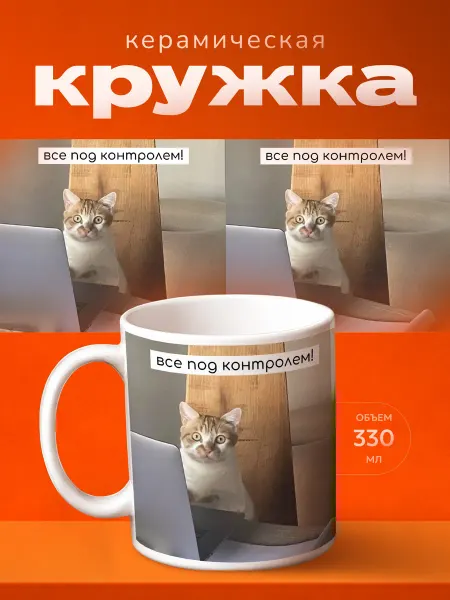 Принт Шоп Кружка кот за ноутбуком мем