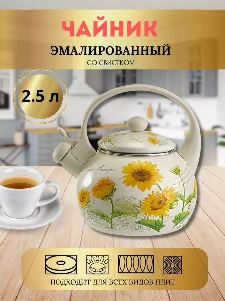 BenliDom Чайник эмалированный со свистком 2,5л