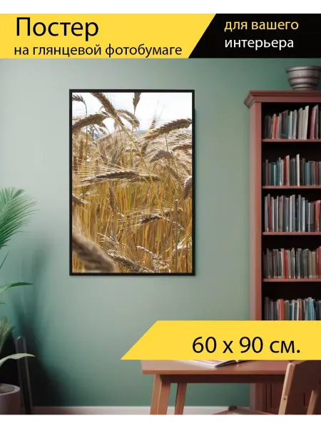 LotsPrints Постер "Поле пшеницы, пшеница, поле" 60x90см