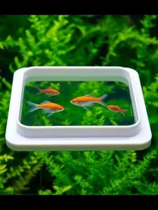 Океаник-универсальная кормушка для аквариума 10х7,5 см, белая
