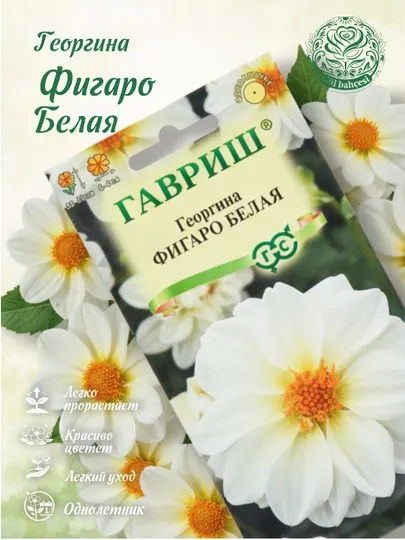Семена Георгина Фигаро, белая, 7 шт, 1071860792