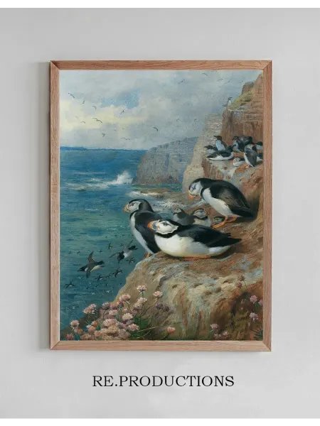 Re.productions Постер Puffins and Razor Bills - Archibald Thorburn
