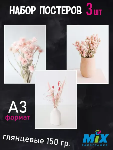 Mirmix Постеры настенные 3 шт, розовый пастельный тон, Сухоцветы