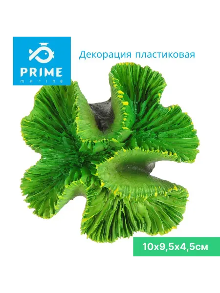Prime Zoo Декорация для аквариума Эуфилия зеленая 10х9,5х4,5см