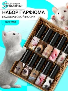 Парфюмерный набор пробников Носики 10x2 мл (20 мл), унисекс, стойкие духи, фруктовые и гурманские ароматы с ванилью, карамелью, мёдом и цитрусами