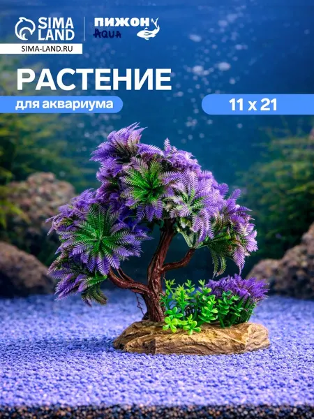 Растение для аквариума и террариума, 11 х 21 см