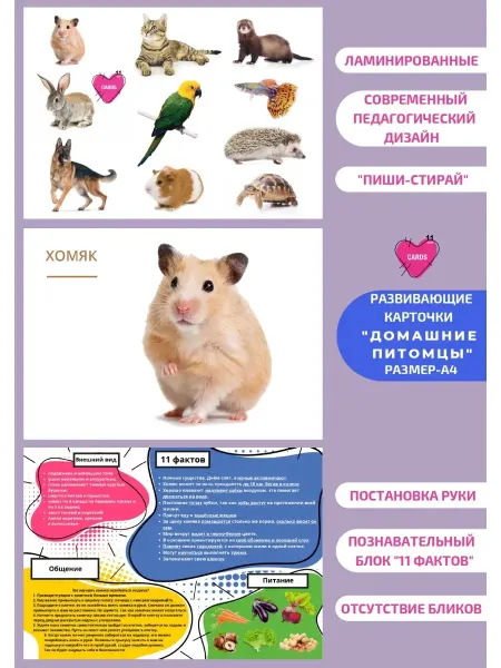 Cards11facts Развивающие и обучающие карточки 11 фактов для детей и малыш…