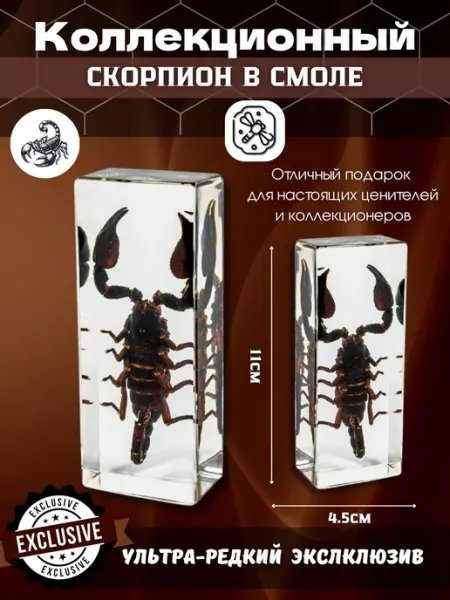 ThirteenAccessories Коллекционный - гигантский скорпион в смоле