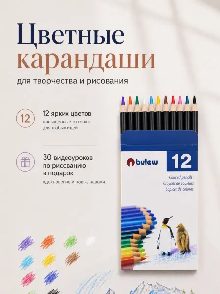 Цветные карандаши классические 12 цветов для школы