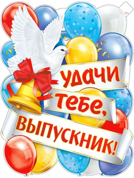 Палон Плакат Последний звонок голубь