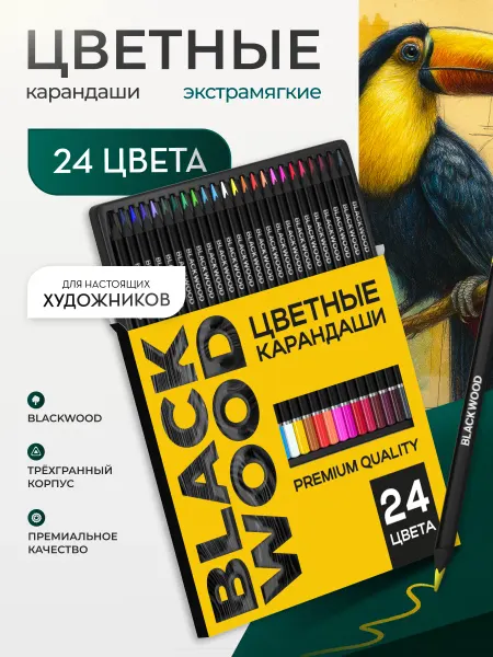 BLACKWOOD Набор цветных карандашей 24 цвета в картонной упаковке