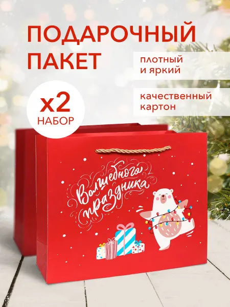 Bag_Pack Пакет новогодний картонный с медведем 2шт