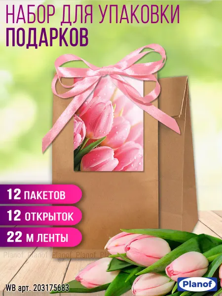 Planof Крафт пакеты подарочные маленькие набор 12 шт
