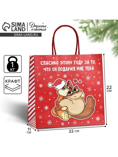 Сима-Ленд & Дарите Счастье Пакет подарочный новогодний «Спасибо этому году»