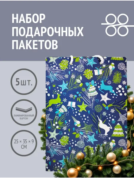 ООО "Печатный дом "Магистраль" Набор подарочных пакетов 5 штук "Яркая зима"