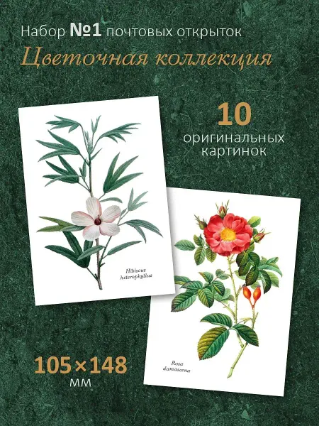 ЮФОЮ Почтовые открытки "Цветочная коллекция №1" посткроссинг