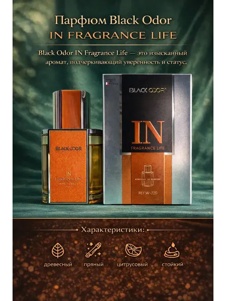 Автомобильный ароматизатор Black odor