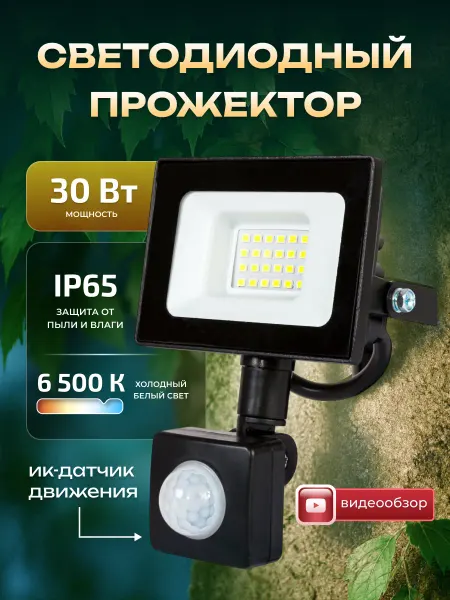 Glanzen Светильник уличный прожектор с датчиком движения 30Вт 1шт