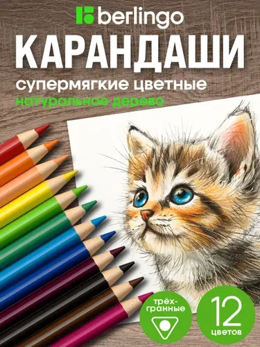 Карандаши цветные мягкие для рисования, для школы, набор 12 цветов