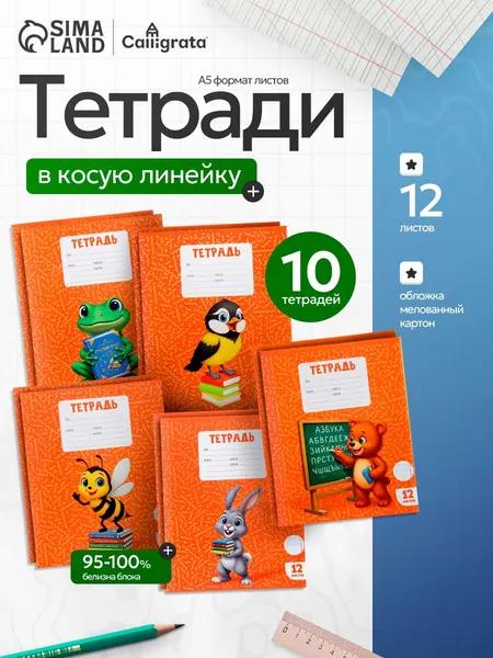 BG Тетради в косую линейку 12 листов 10 штук