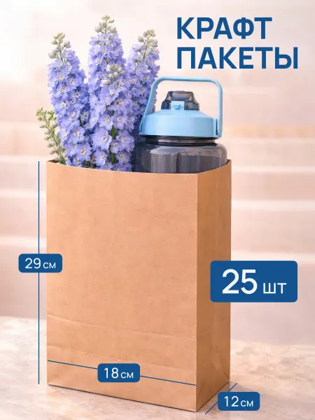 Крафт пакеты бумажные упаковочные 25 штук