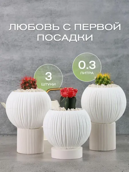 Meingo Набор горшков для цветов кактусов и суккулентов 3 шт 0,3 л