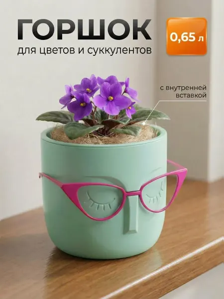SiHouse Кашпо для суккулентов 0,65л со вставкой