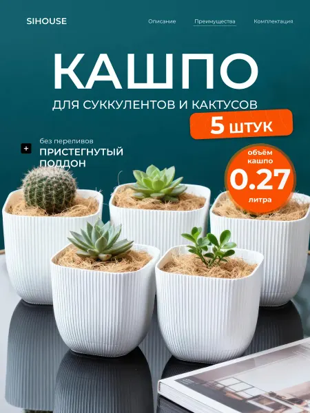 SiHouse Кашпо квадратное для суккулентов и кактусов 0.67 л 5 шт