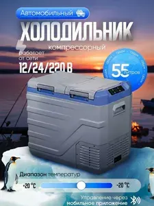 Автохолодильник Alpicool NLS55 компрессорный переносной / Морозильник Алпикул автомобильный объемом 55 л 12/24/220 Вольт / Для дачи и путешествий