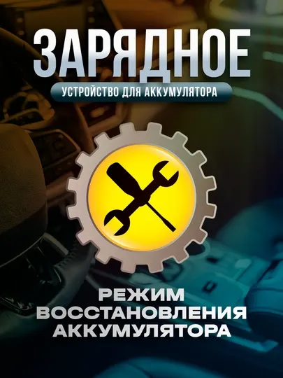 Автоматическое зарядное устройство для аккумулятора автомобиля 12/24 В