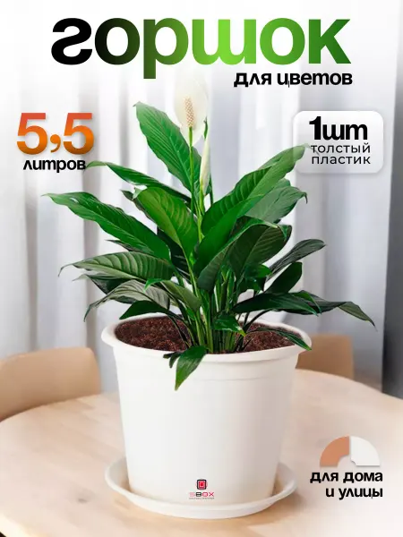SBOX Горшок для цветов пластиковый с поддоном 5.5 литров