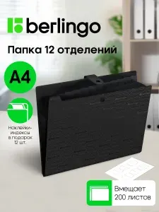 Папка для документов А4, 12 отделений